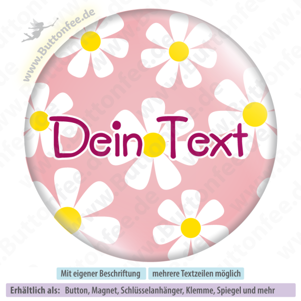 Margariten auf rosa